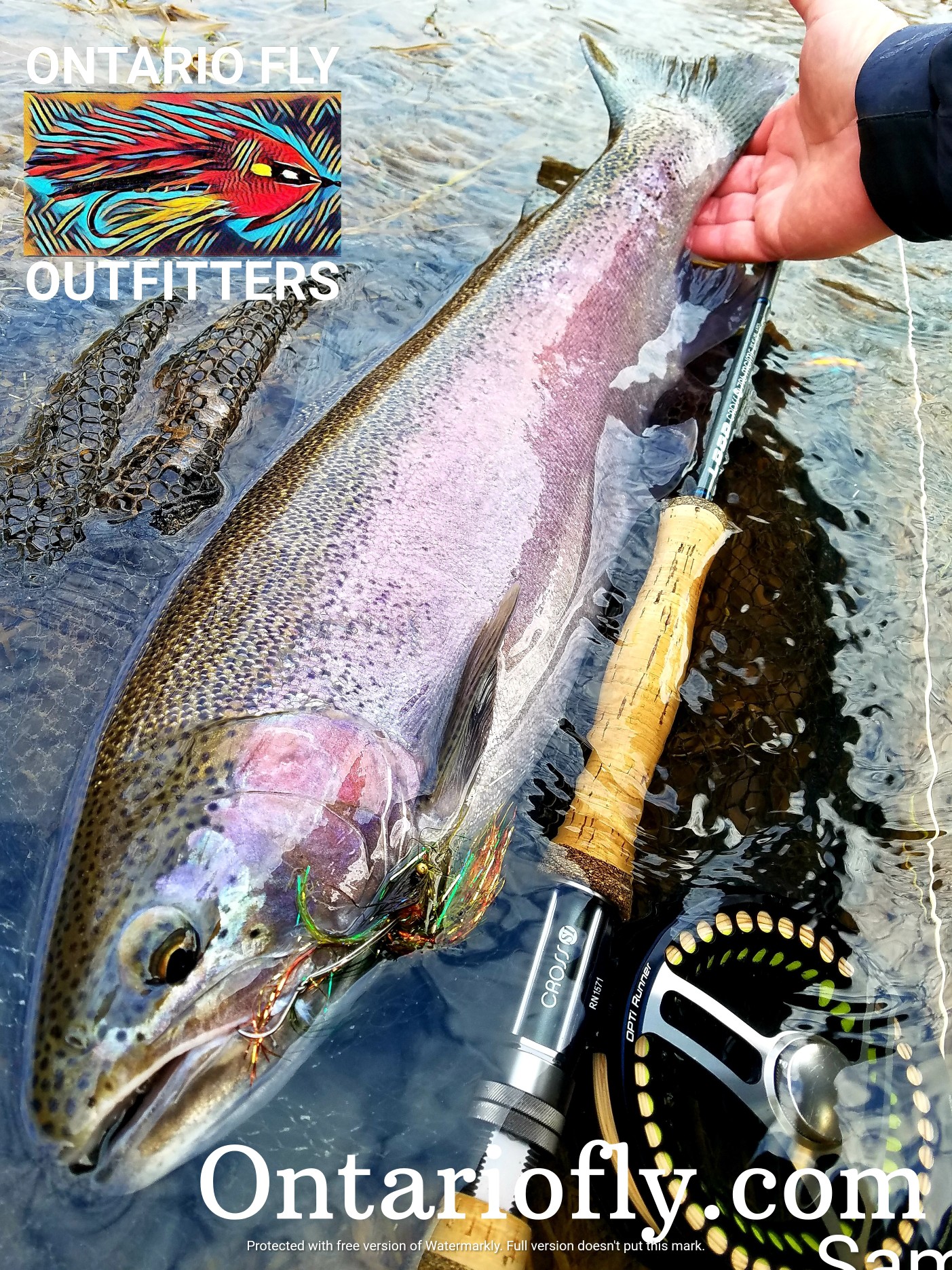 Fall Fly Fishing with a Guide in Tributaries, Lake Erie & Lake